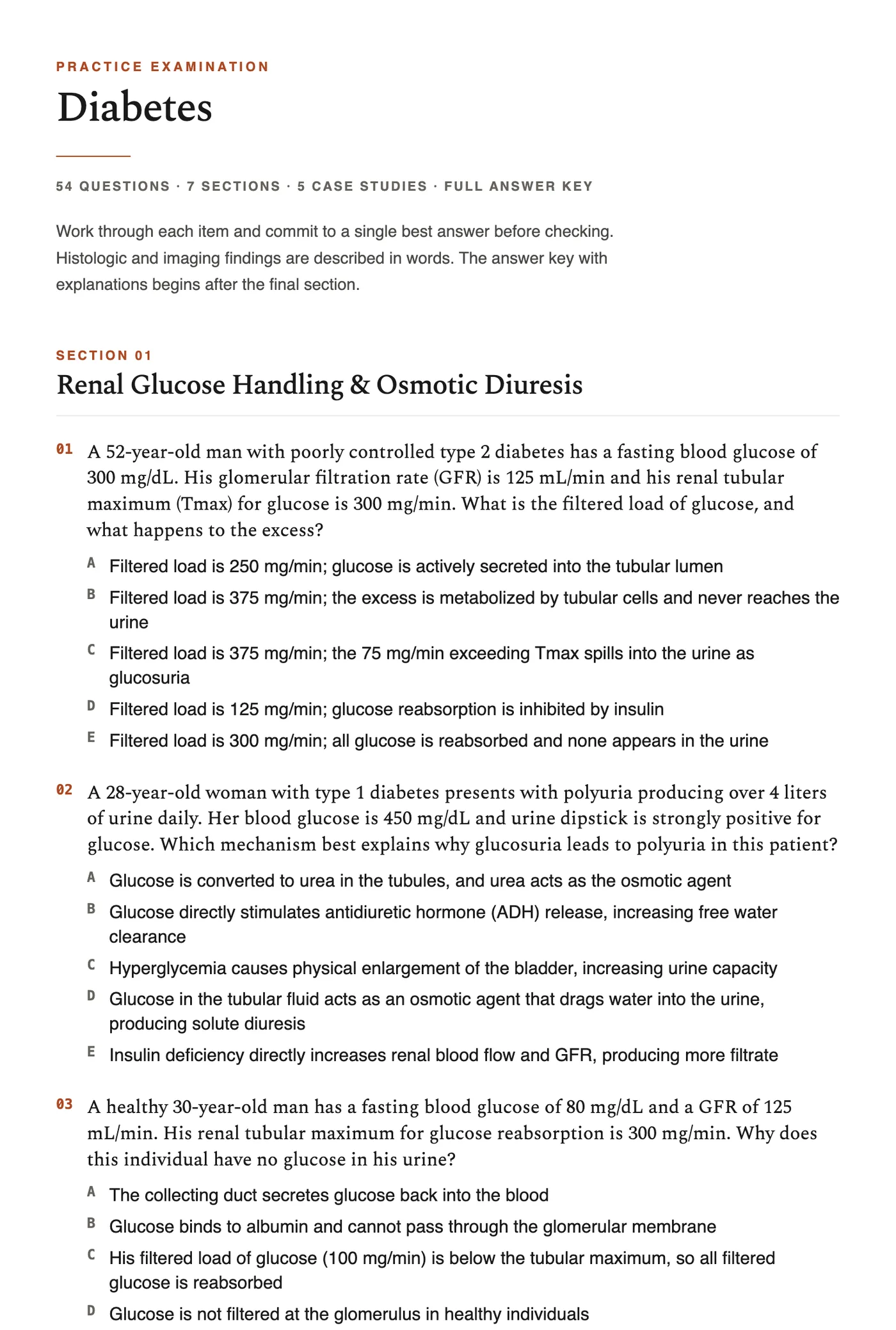 A generated practice exam, formatted as a print-ready document with sections and questions.